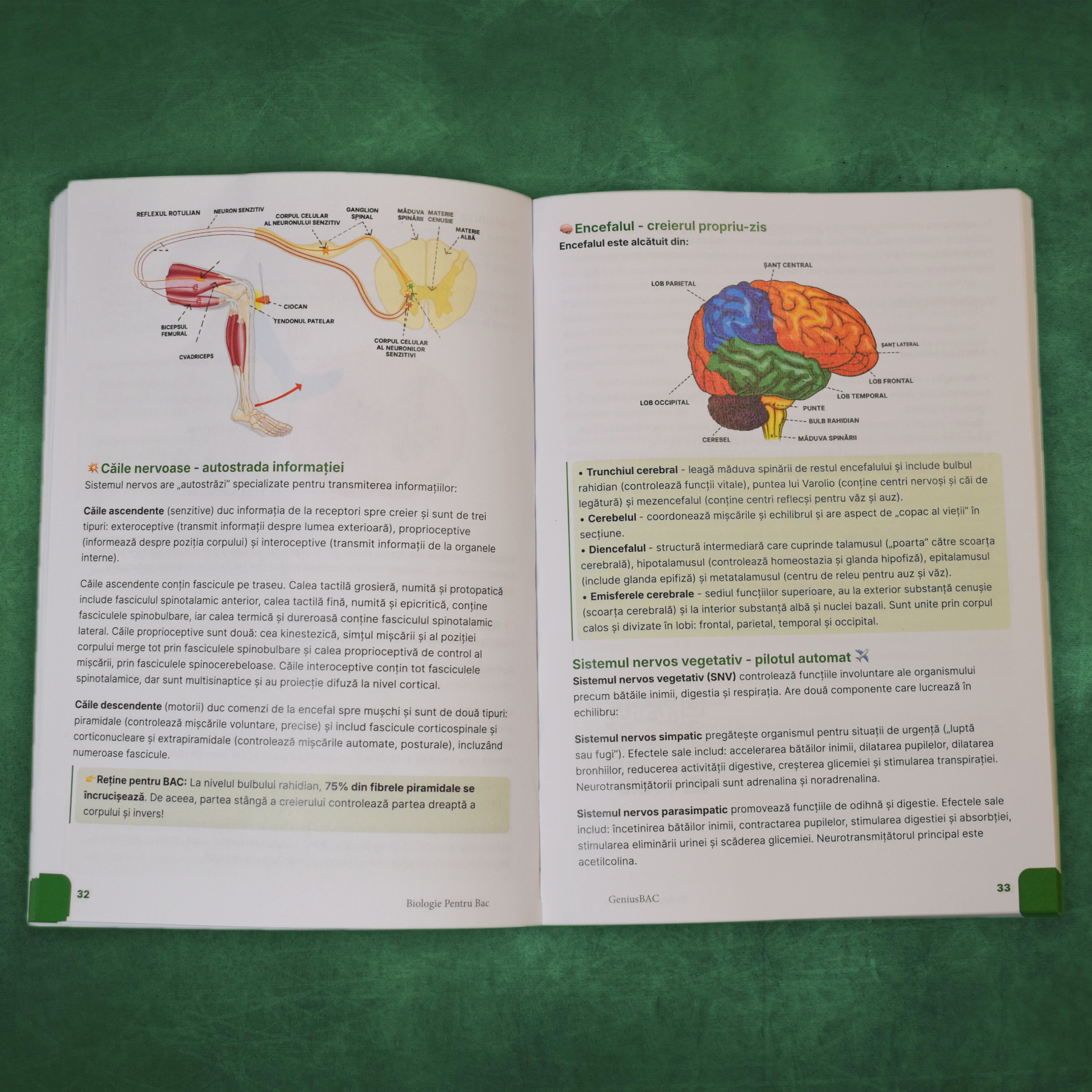 Carte Biologie 11-12 (Anatomie) Bacalaureat
