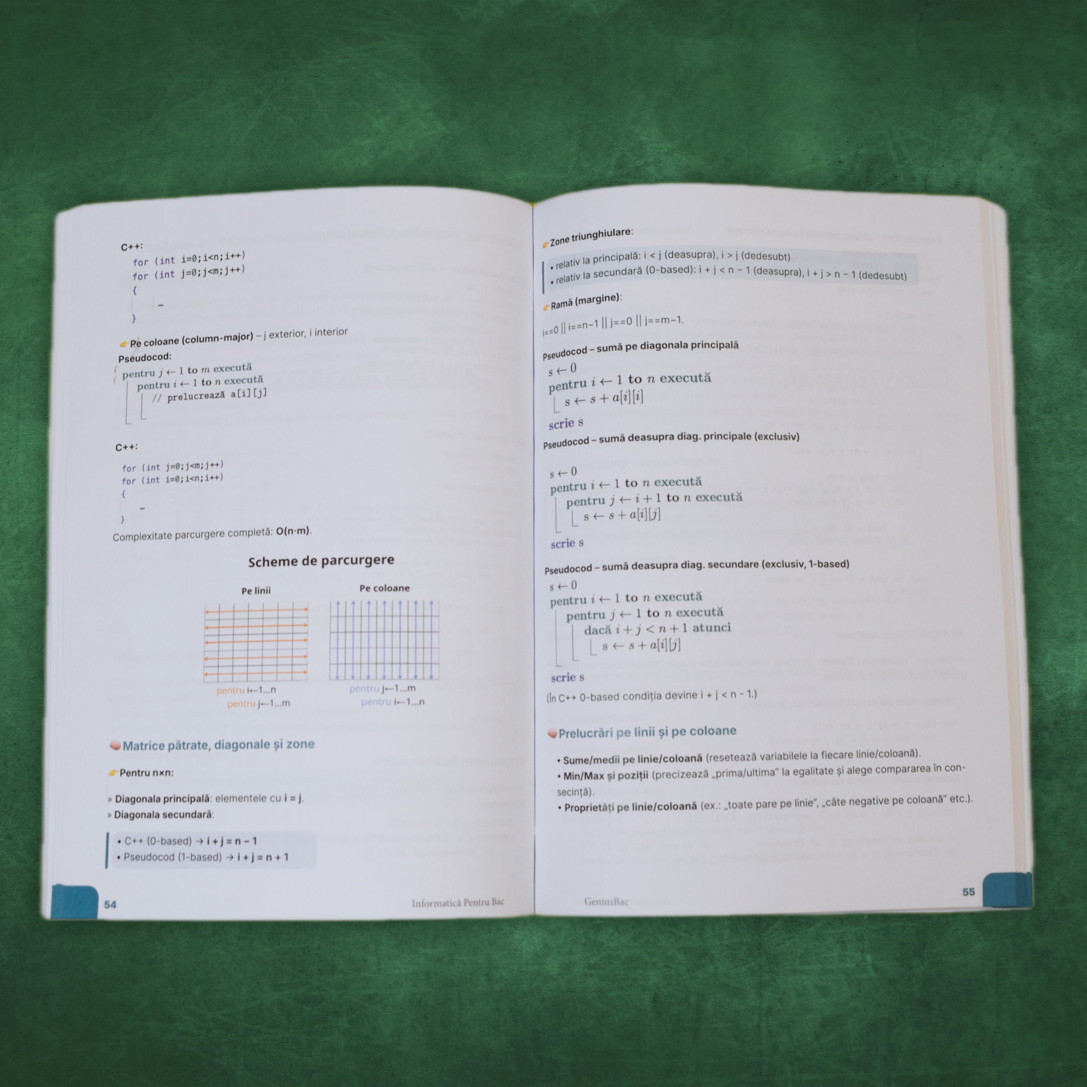 Carte Informatică Bacalaureat