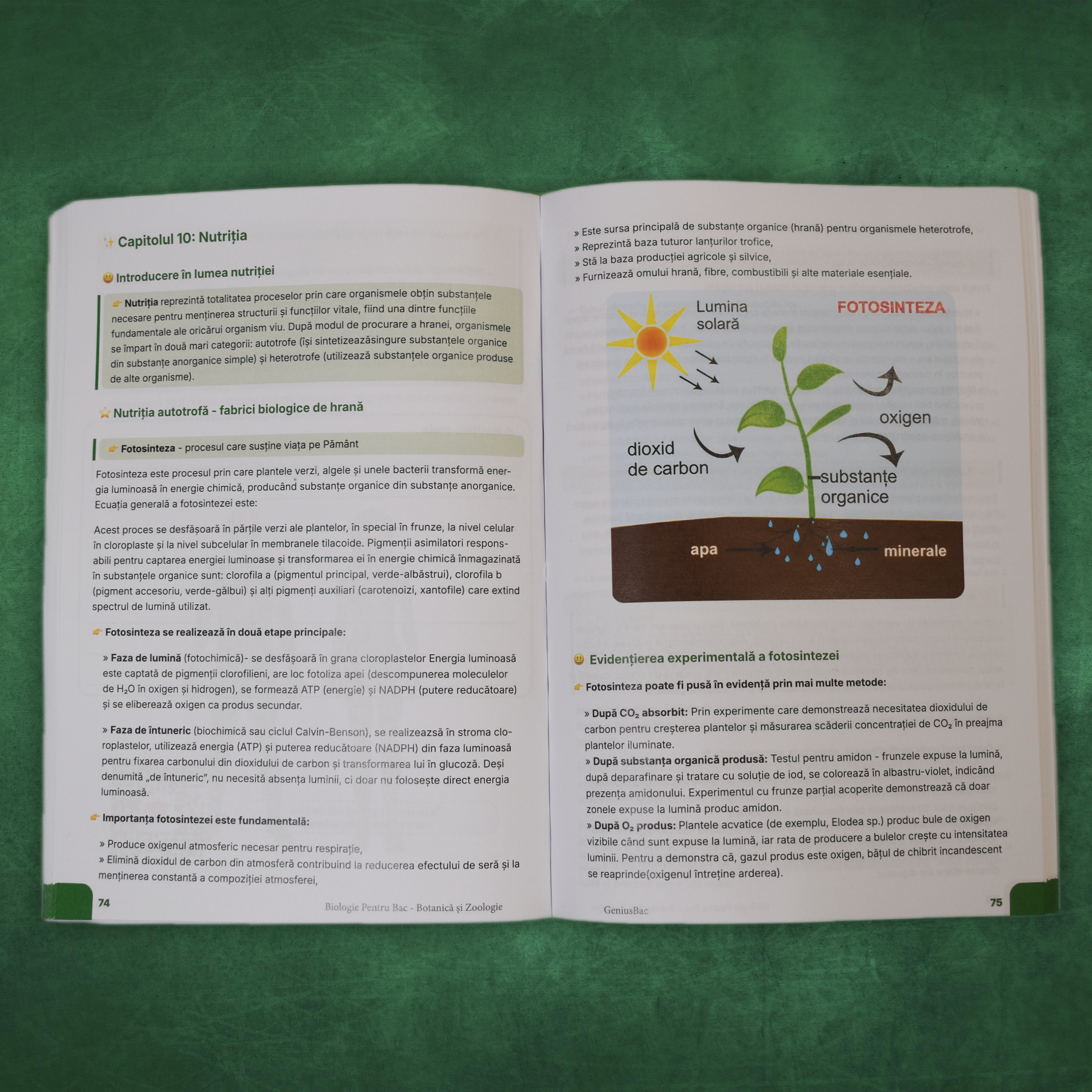 Carte Biologie 9-10 (Vegetală și animală) Bacalaureat