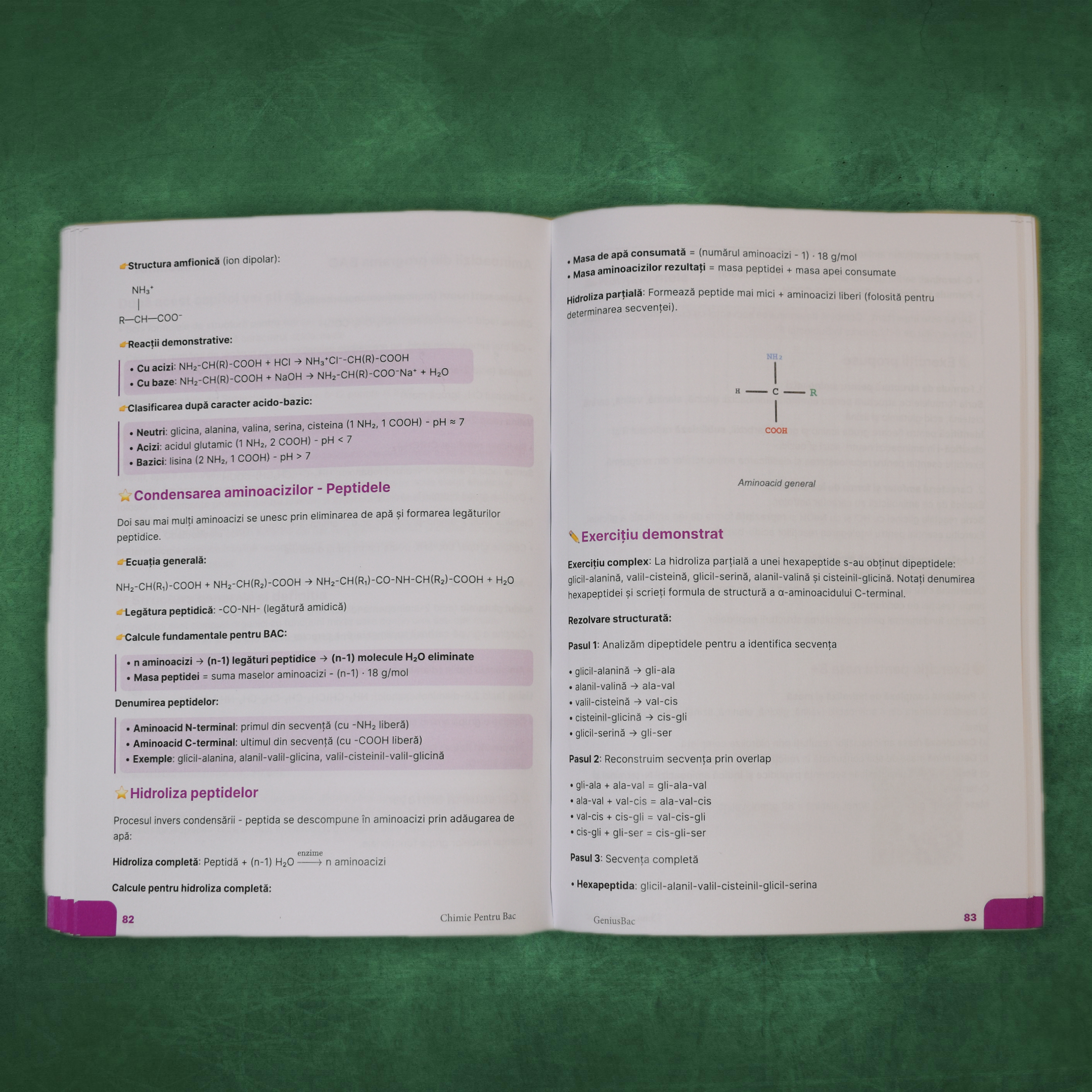 Pachet Bacalaureat (Română + Matematică + Chimie Organică)