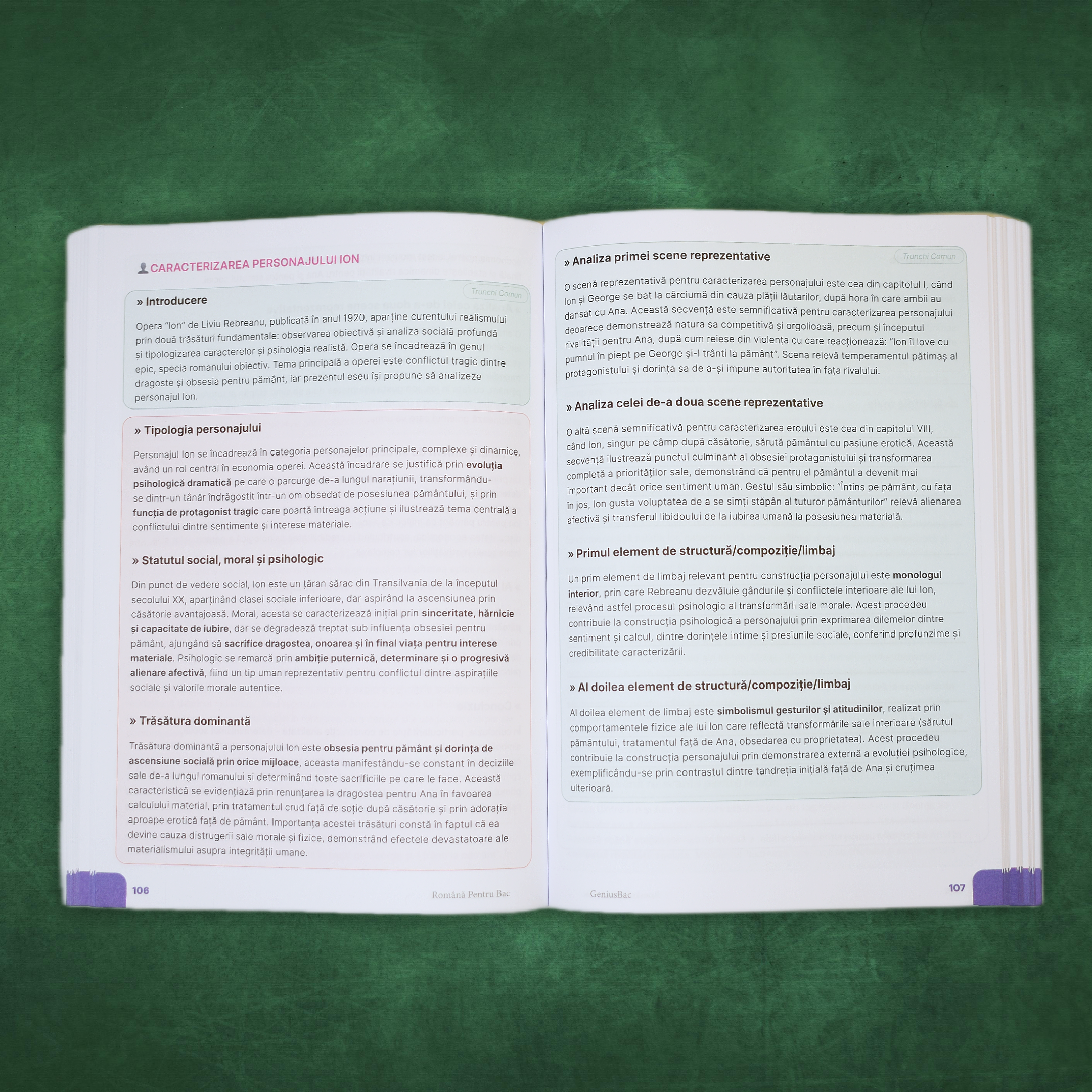 Carte Română Bacalaureat